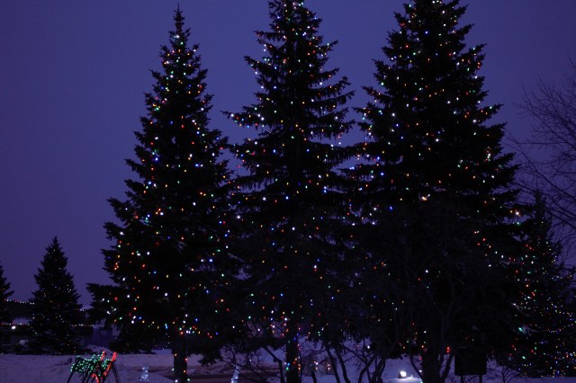 O Christmas Tree Still