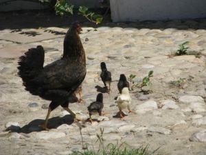 599421_10151579034507743_1561637026_n